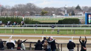 ABR Sunday Selections: Full-Card Picks for Nov. 16 at Aqueduct